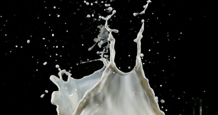 О молоке животных от А до Я